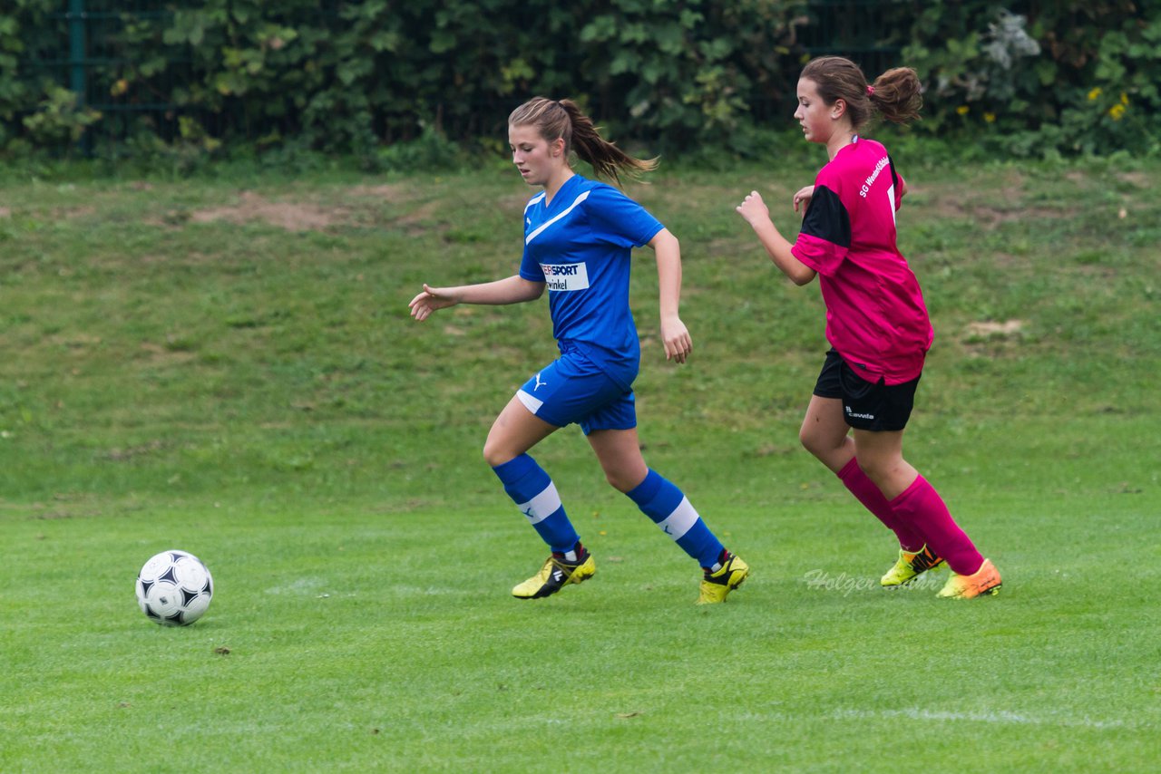 Bild 197 - B-Juniorinnen FSG BraWie 08 - JSG Sandesneben : Ergebnis: 2:0